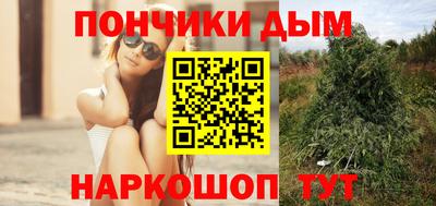 сатива Дубна